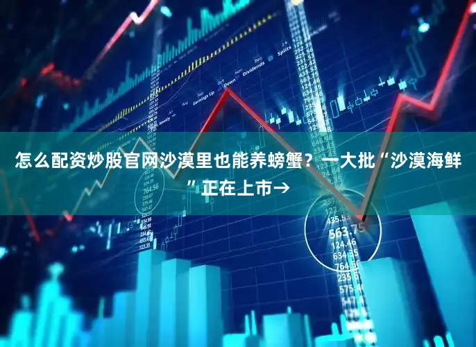 怎么配资炒股官网沙漠里也能养螃蟹?一大批“沙漠海鲜”正在上市→