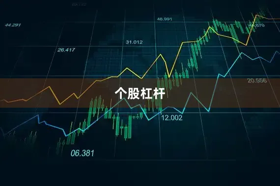 个股杠杆