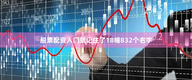 股票配资入门就记住了18幢832个名字