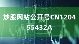 炒股网站公开号CN120455432A